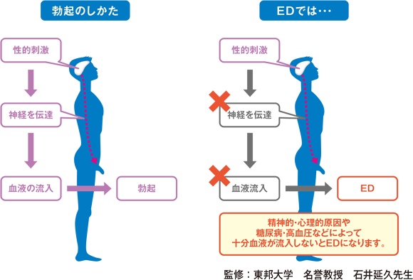 そろそろ薬で男性の性欲をコントロールすべきでは」准教授の訴え - Togetter [トゥギャッター]