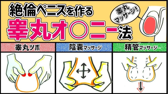 急性副睾丸炎の本当の原因: 泌尿器科の常識と盲点