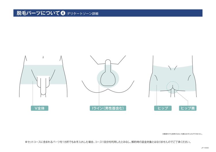 パイパン (ぱいぱん)とは【ピクシブ百科事典】