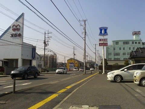 ツリガネニンジンやマツムシソウが咲き始めた向島百花園。カワミドリやハマナデシコも見られました。池で行き交いするカルガモはいつまで見てても飽きません。