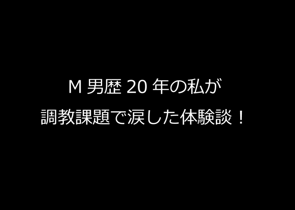 SFC【中古】SM調教師「瞳」 VOL.2 REMIX 人気