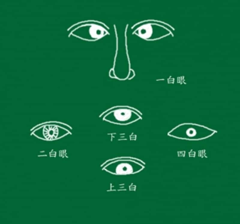 人相学】超危険な凶相「獣眼・蛇眼・車輪眼・四白眼」の性格特徴 | Fortune Media