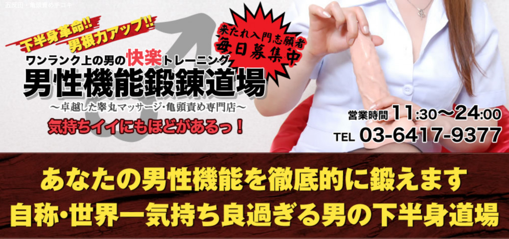 五反田 男性機能鍛錬道場 03-6417-9377 回春風俗エステの口コミ・評価-DINOエステ|男性エステ