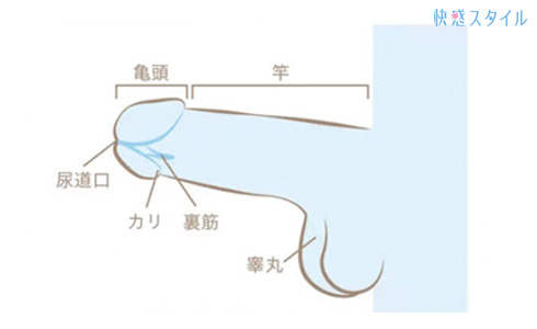 イヤホンジャックで尿道オナニー」体験談（絶対にマネしないでください） - DLチャンネル みんなで作る二次元情報サイト！