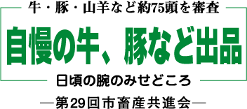 あきは🌺プロポーションオキナワVer.2全国ミスヘヴン2023愛知推しの子部門19位✨ on X: