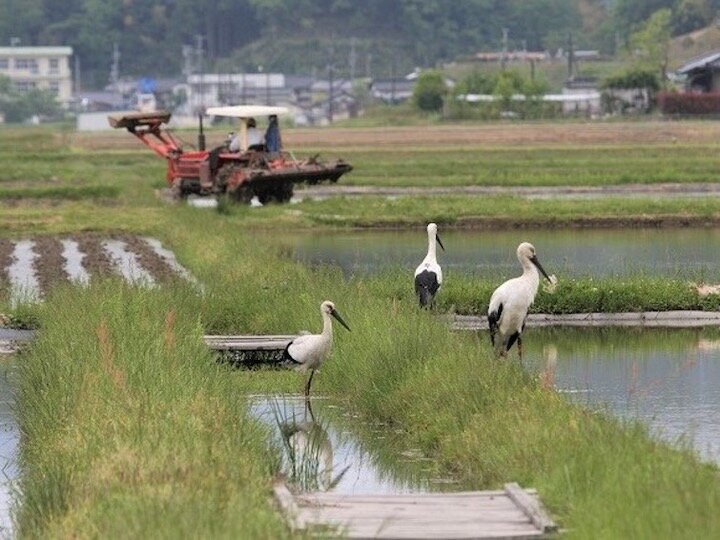 夏なので海！！ ということで豊岡まで海に入りに行ってきました😁 透明度の高い海を見て、その上で海鮮丼を食べれるなんて幸せすぎますね！