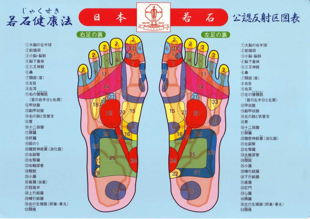 足つぼ足裏マッサージ通向けのフット専門コース｜ほぐし＆リラックス【公式】