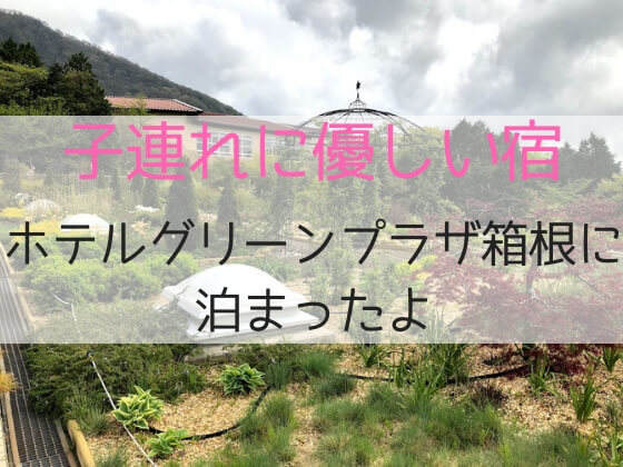 富士山を一望できる宿 ホテルグリーンプラザ箱根のビュッフェ -