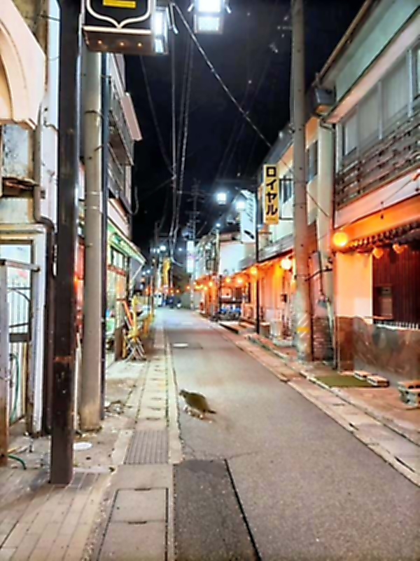 三朝温泉「温泉本通り」写真集 | 倉吉ブログ☆