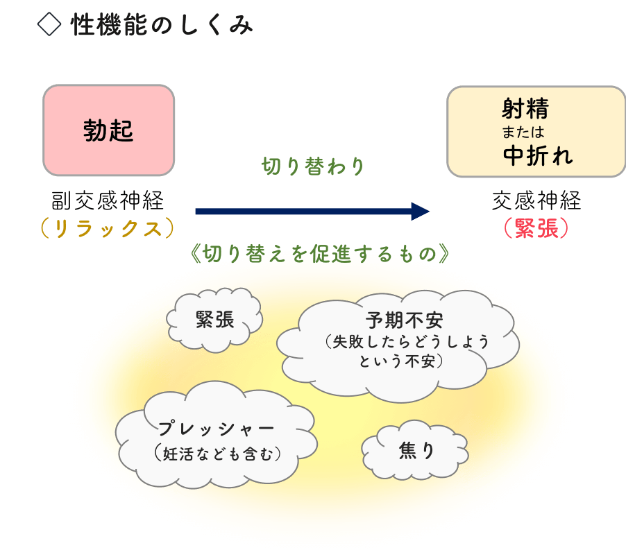 夢精はオナニーよりも気持ちいいって本当？正しいやり方を伝授！