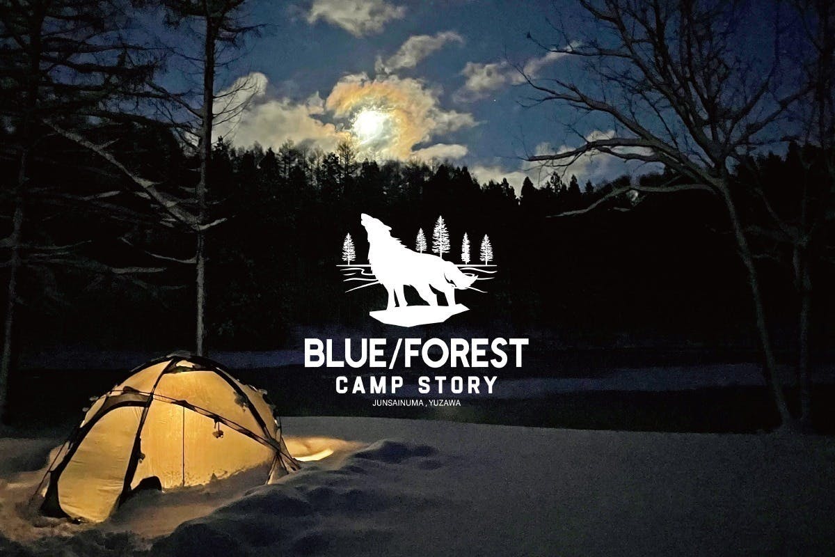 FOREST BLUE