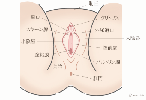 膣から潮を吹く女性の体験談インタビュー】尿道じゃなかったの！？ | 【きもイク】気持ちよくイクカラダ