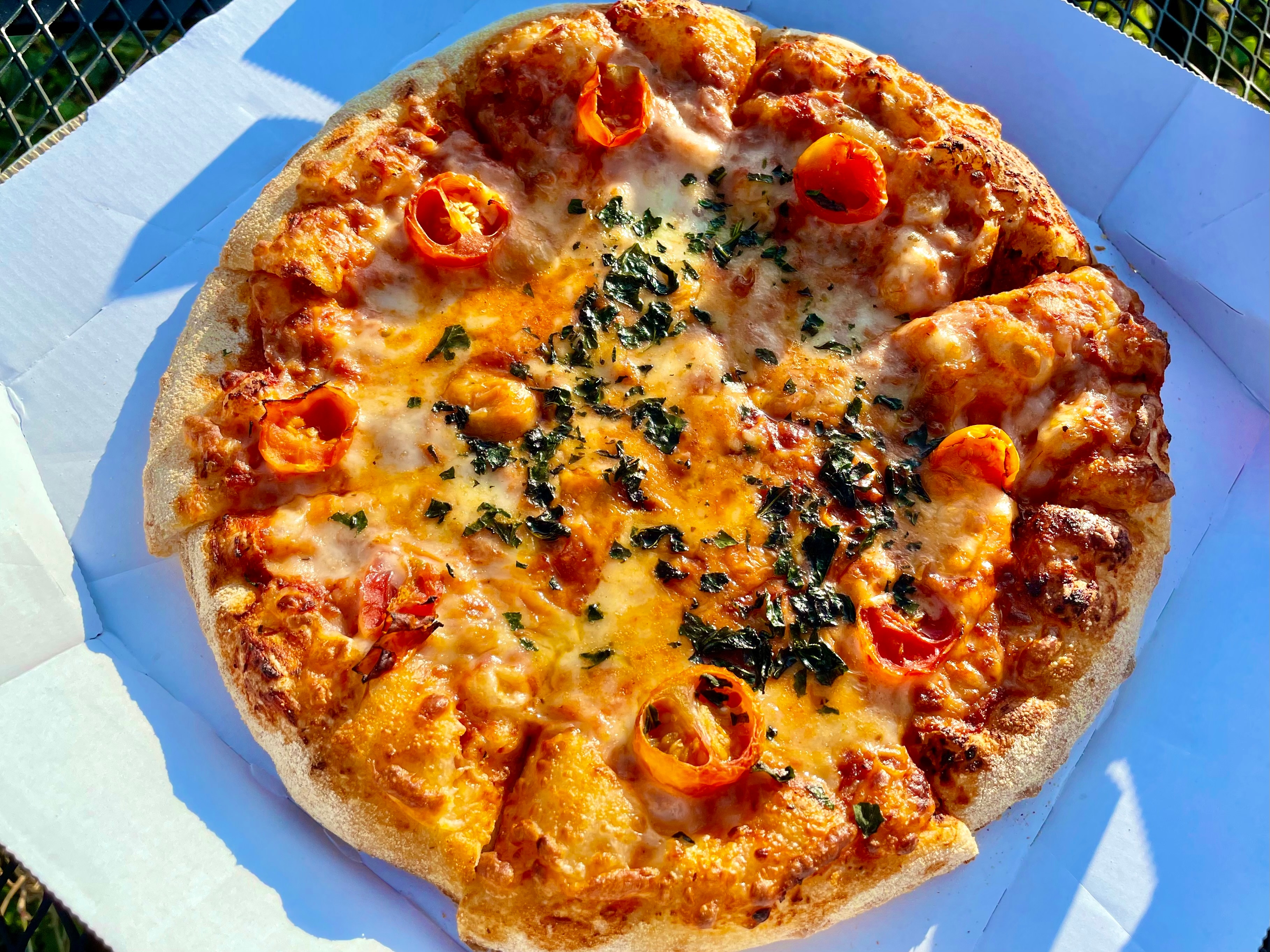 あなたの推しピザは何位…？推しポイントと一緒に教えて🍕, ＼2023年ドミノ・ピザ 売上ランキング​／,