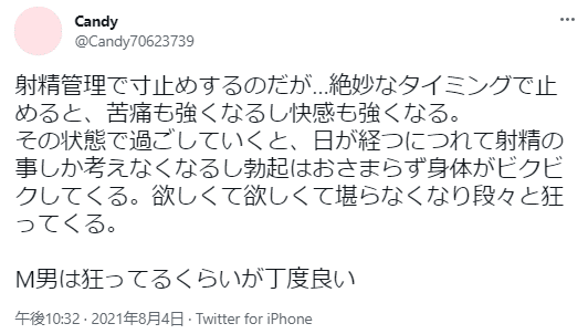 45%OFF】M男カレシを何度も寸止めして喘ぎ狂わせ土下座されても射精させてあげない【コミック版】 [KZentertainment] |