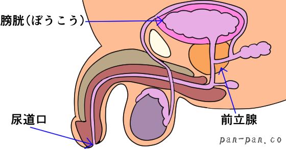 都合のイイ女の見つけ方オトし方☆ラインに名字を書かない人妻の深層心理とは☆イ※ン、フードコートの暇そうな主婦に火遊びを教えてあげよう☆裏モノＪＡＰＡＮ  - 鉄人社編集部