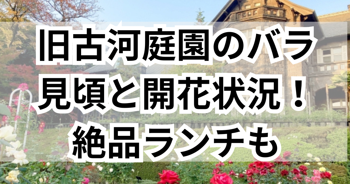 樋田礼子＊TOIDA ayako | 【第77回春の院展:選抜展】 