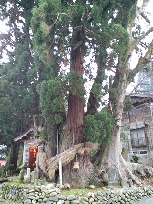 長岡の風俗求人【バニラ】で高収入バイト