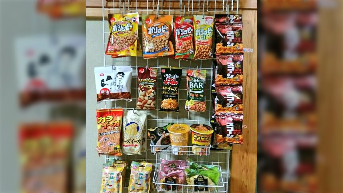 日間賀島でまたまたアオリイカ爆釣＾＾詳細追記しました♪【イシグロ半田店】 | 釣具のイシグロ