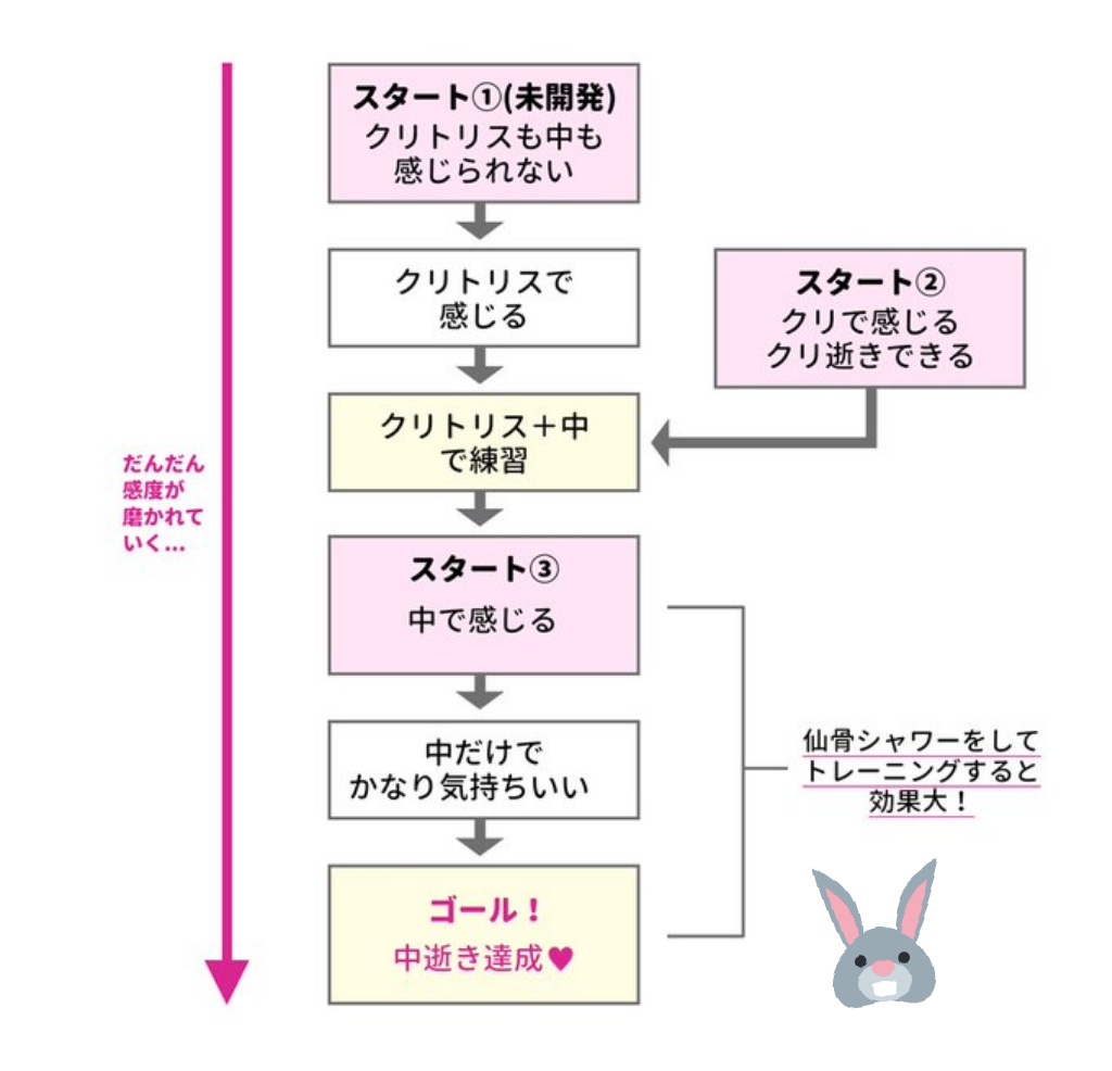 中イキ開発方法を漫画で学ぶ！外イキとは感覚は違うの？