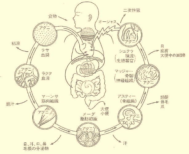 婦人科のよくある症状｜川口市の乳腺科・婦人科、はんきょう乳腺・レディースクリニック川口