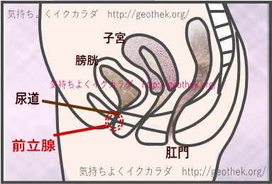 ありえないほど気持ちいい男のメスイキとは？やり方やイったときの感覚を解説！｜駅ちか！風俗雑記帳