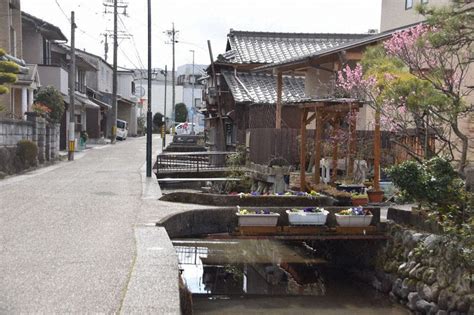 静岡県 竹細工 子供の遊び場・お出かけスポット |