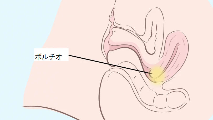 デリケートゾーンがきれいってどういうこと？ – 港区、品川区の産婦人科で妊婦健診・産後ケア・避妊相談なら│海老根ウィメンズクリニック