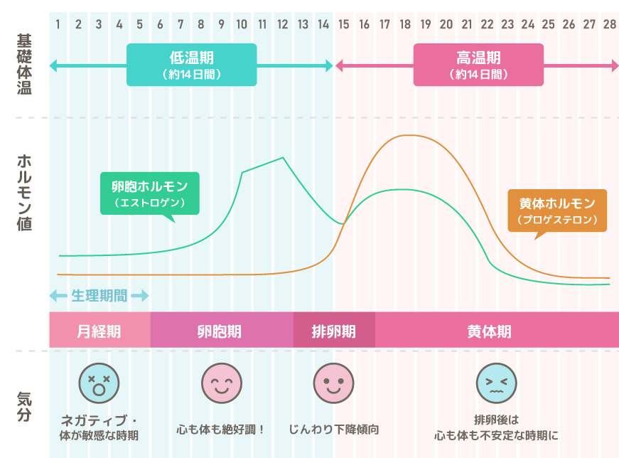 Z世代女性の約50%がマスターベーションのオカズにしているものは？性欲を感じるタイミングも明らかに【日本の女性の性生活白書】 | smart