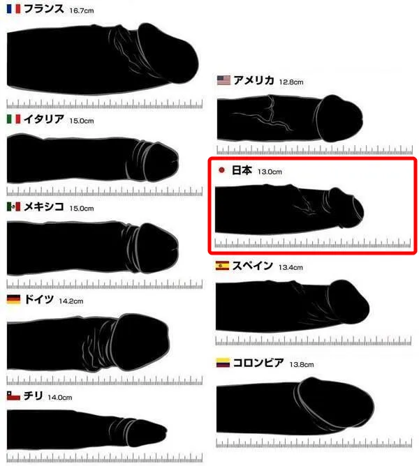 男の不安、平均13㎝の真偽 霊長類最大級から見るサイズ信仰のなぞ：朝日新聞デジタル