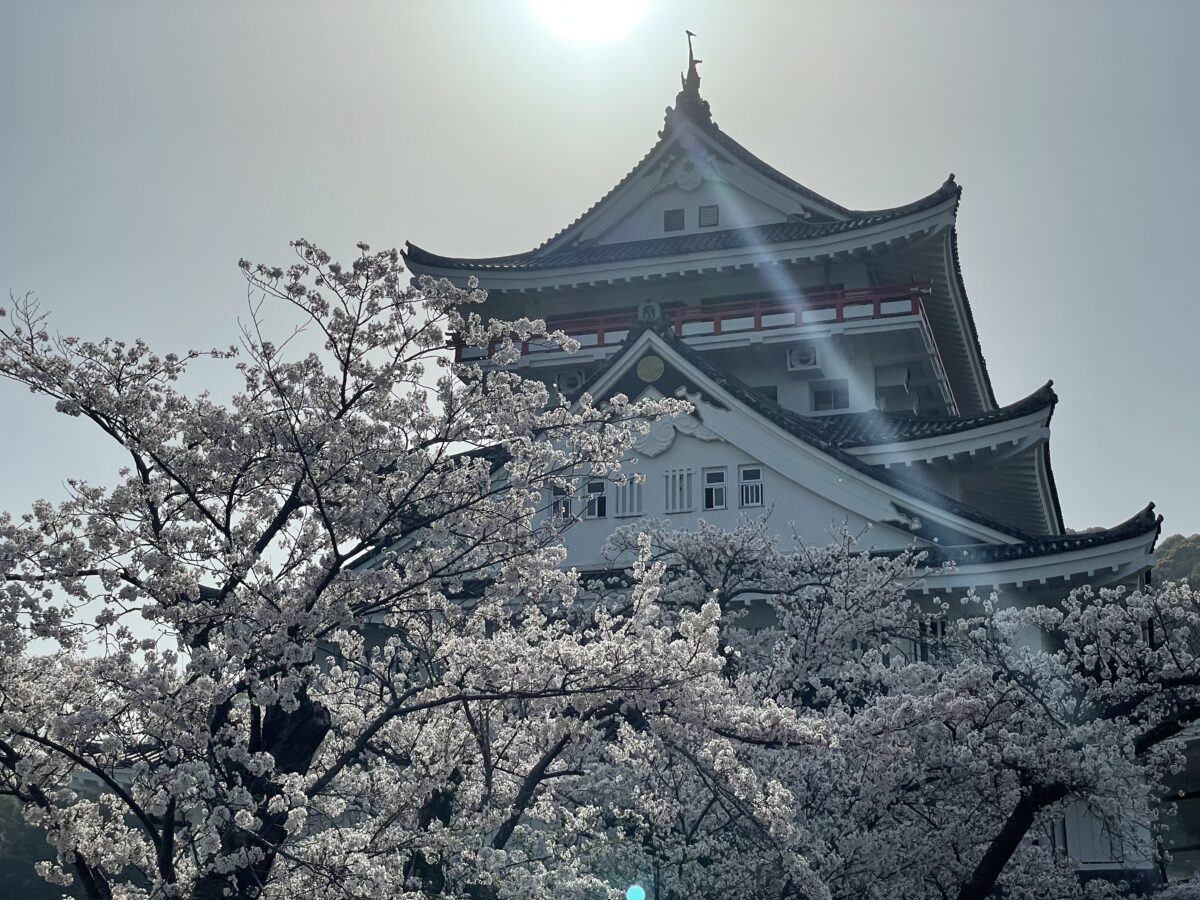 静岡県熱海市】絶景パノラマを堪能出来る！熱海城と桜！現地レポート！｜株式会社オマツリジャパン