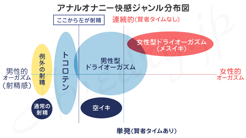 アナル愛撫のやり方！アナルイキや開発方法 - 夜の保健室