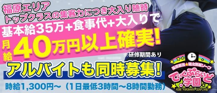 SuiSavon 首里石鹸 シュリセッケンのコスメ・美容部員の正社員・契約社員求人ならiDA