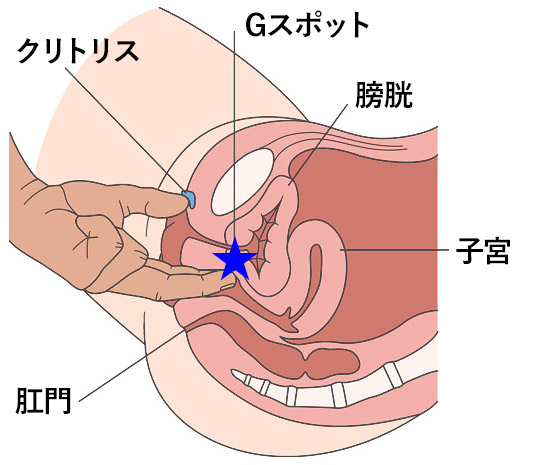 潮吹きしやすい体を作って快感の海へダイブ！敏感女子になる方法と潮吹き種類も紹介！ | Trip-Partner[トリップパートナー]