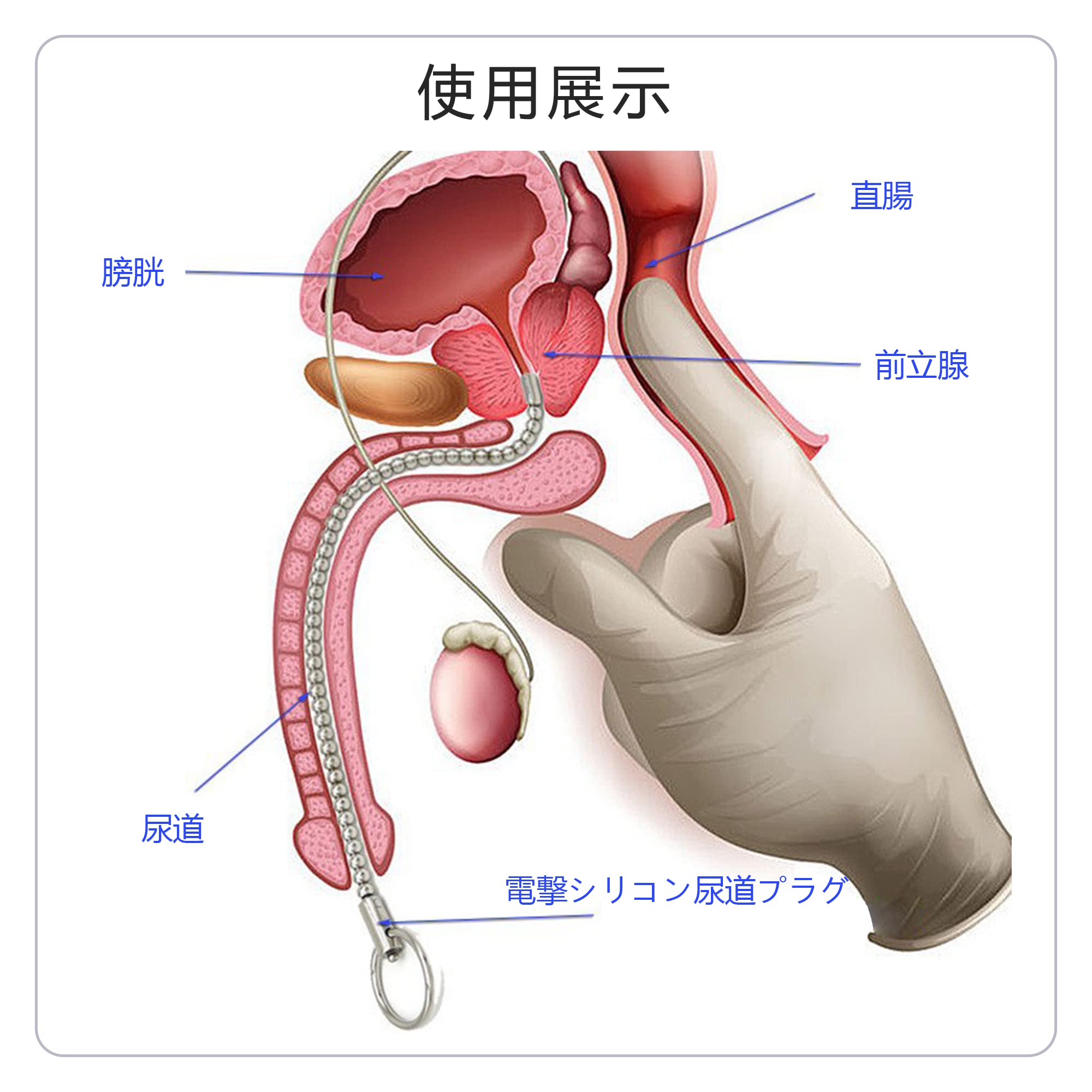 催眠律動音響90_前立腺責め02 [ぴぐみょんスタジオ] |