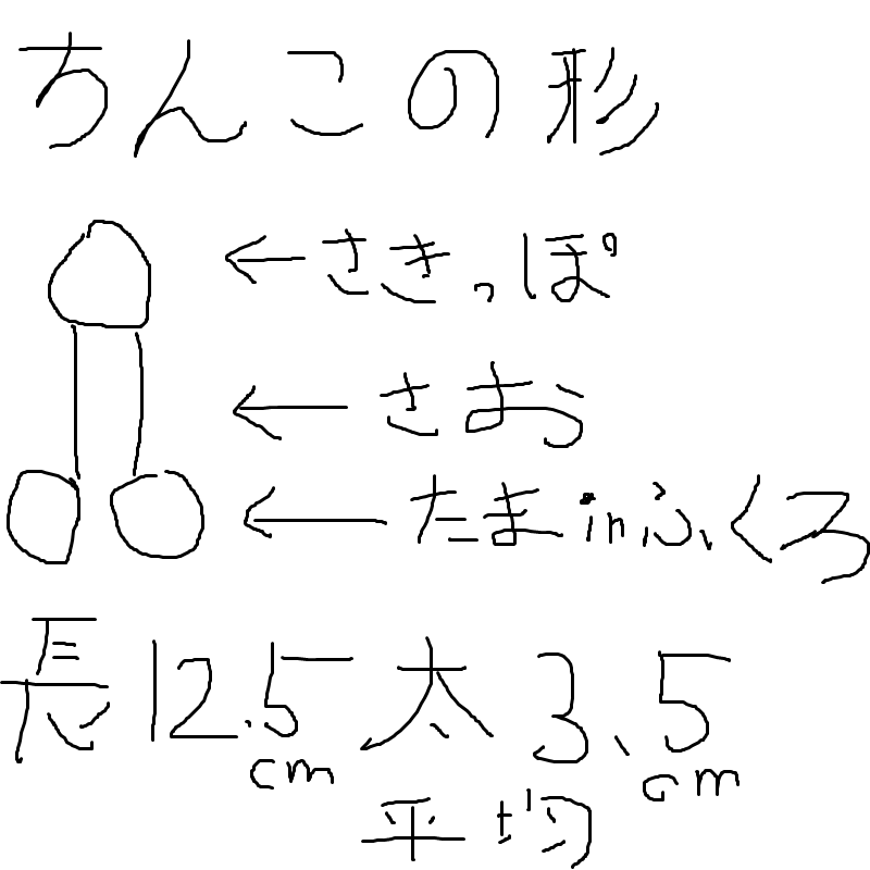 ちんこトイレットペーパーチャレンジで簡単にサイズ測定しよう！