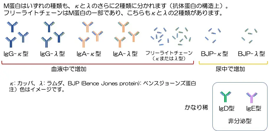 3／8（金）受診日〜雪の日 | 私の中の多発性骨髄腫