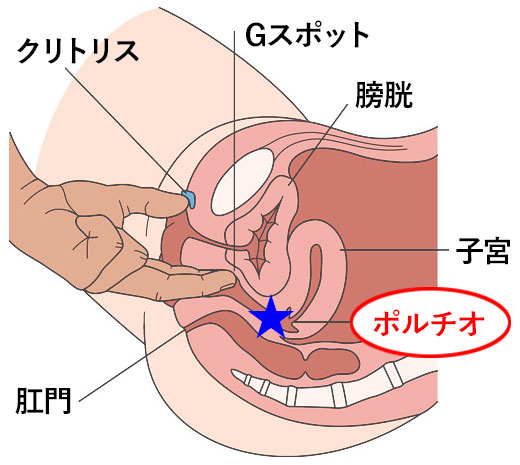 クンニ＆中イキ未経験素人娘・春香の腋匂い嗅ぎ舐めくすぐり手マン | デジタルコンテンツのオープンマーケット Gcolle