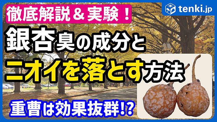 生ごみのイヤ〜な腐敗臭を効果的に除去する「7つの方法」とは？(季節・暮らしの話題 2016年06月01日) -