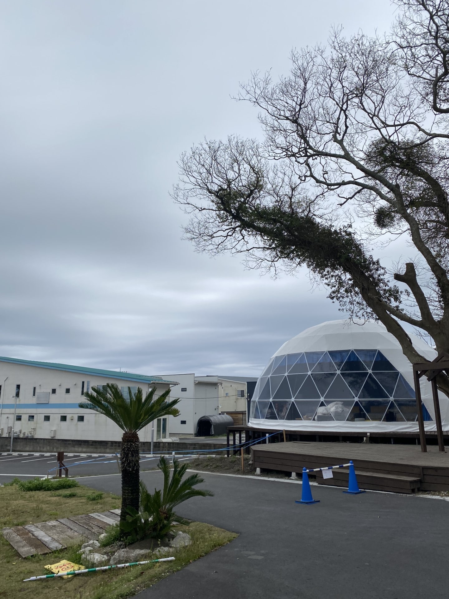 一宮市】北海道の風を感じて「北の大地のおくりもの展」が木工房すえひろで開催中（でめ） - エキスパート -