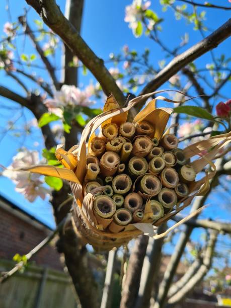 地域とアートが交差する特別展示の取り組みを開始ーホテル「THE BLOSSOM HAKATA