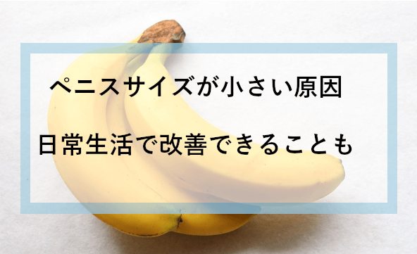 日本人のペニスサイズ調査～調査の方法 | 男性生殖器マニア