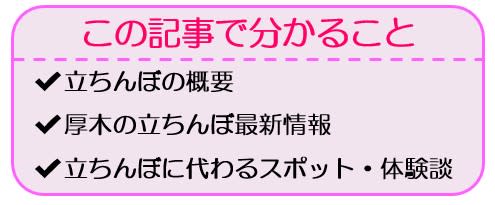 平塚で立ちんぼと本サロの調査