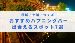 栃木のハプニングバー事情って？宇都宮を中心に出会えるスポット7選 - 風俗本番指南書