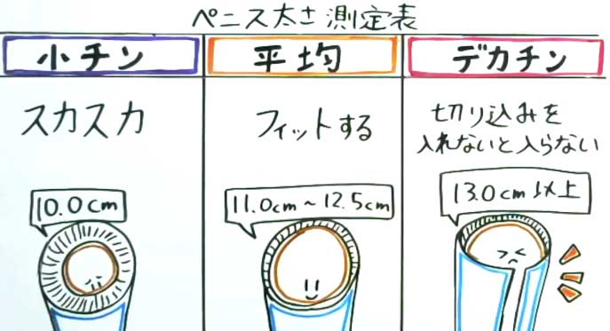 ペニスの平均的な長さと太さとは？複数の研究データによる結論 – メンズ形成外科 | 青山セレス&船橋中央クリニック