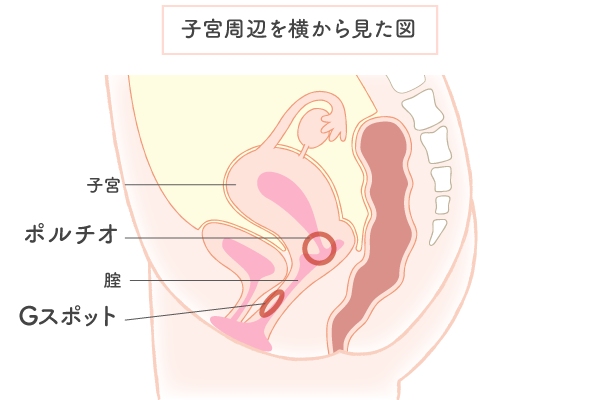 イク”感覚ってどんな感じ？ 20代~30代女性の語るオーガズムの本音 |