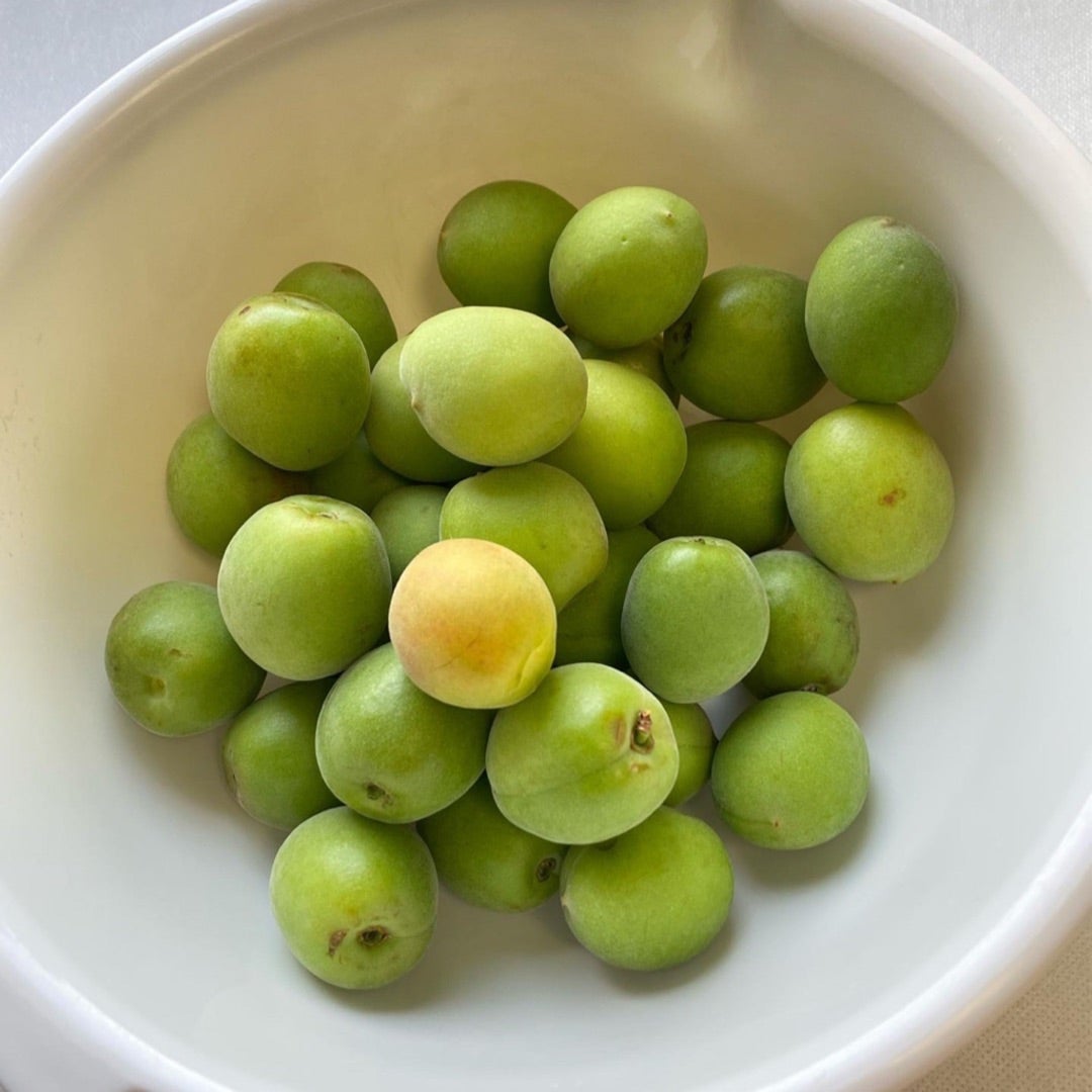 香梅鈴（青梅の甘露煮）10コ| 有機野菜などのお取り寄せやギフト通販は大地を守る会の「お取り寄せひろば」