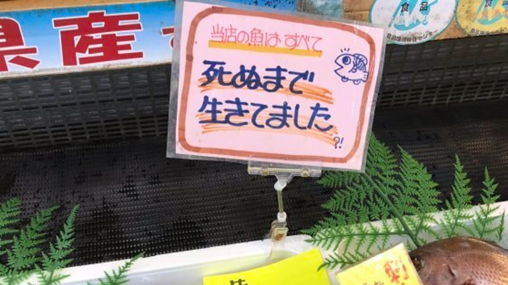 ノーベル平和賞受賞は終わりではなく転機」山口県被団協最年少の女性「風化させないために若者の協力を」 語り部活動で次世代に残すものは |