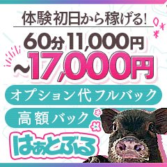 体験談】名古屋発の高級デリヘル「シャブール」は本番（基盤）可？口コミや料金・おすすめ嬢を公開 | Mr.Jのエンタメブログ