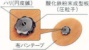 乳首開発】スポールバンでする乳首開発のススメ～ちちのひ(乳の日)記念記事～ - DLチャンネル