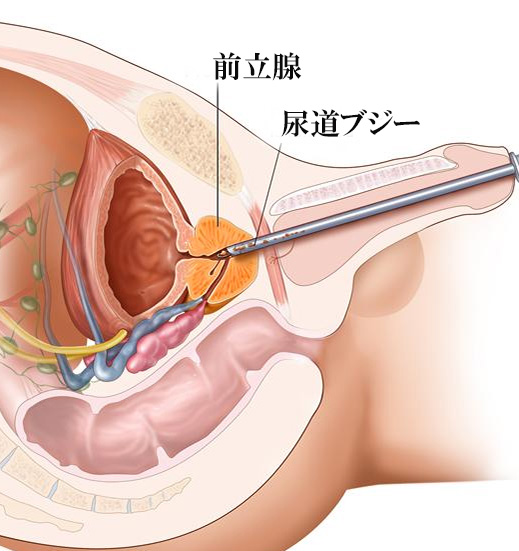 超ドSな女性達がマゾ男を調教！足コキや乳首弄りに尿道責め、ペニバンでアナルをがん掘りしてトコロテン射精へ！ | 無料エロ漫画サイト